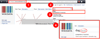 Wikidata Q identifier - Wikidata