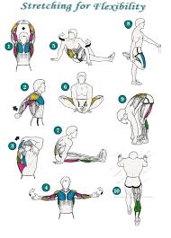 Exercise Routines Me My Body After Workout Stretches Stretch Routine Stretches For Flexibility