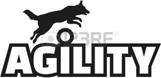 Image Result For Dog Agility Clipart Svg Files Dog Agility Agile Clip Art