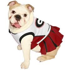 Georgia Bulldogs Pet Cheer Dress How Can You Resist Making Your Dog This Cute Dog Clothes Bulldog Costume Georgia Bulldogs