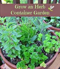 How To Grow An Herb Container Garden Moms Need To Know Container Herb Garden Growing Herbs In Pots Herb Containers