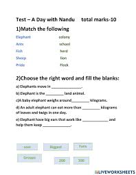 We did not find results for: A Day With Nandu Worksheet