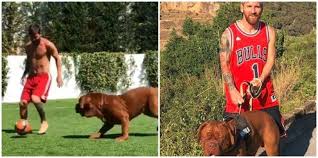 In such page, we additionally have number of images out there. Lionel Messi Puts Up A Display Of Mad Footballing Skills Even When He S Playing With His Dog