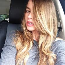 Sofia Vergara Goes Blonde Shows Off Natural Hair Color Picture Sofia Vergara Hair Sofia Vergara Blonde Celebrity Hair Colors