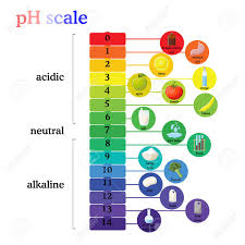 ph scale diagram with corresponding acidic or alkaline values