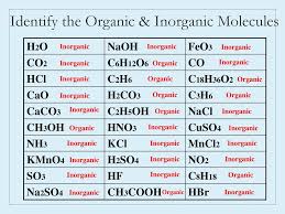 Inorganic Compounds Essential To Human Functioning | Anatomy And Physiology  I