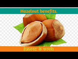 Hazelnut Benefits In Hindi ह ज लनट क फ यद Youtube