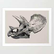 Dinosaur Skeleton Ink Pen Illustration Triceratops Art Print Skeleton Art Drawing Skeleton Drawings Pen Illustration
