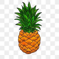 Pin On Photos De Fruits Et Legumes