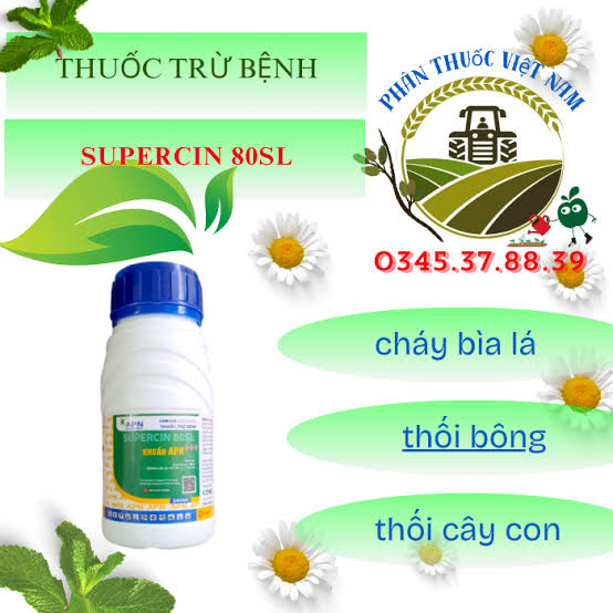 Supercin 80SL