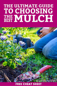 Choose The Best Mulch For Your Yard In 3 Simple Steps In 2020 Mulch Garden Chores Types Of Mulch