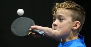 Albury could host the national table tennis titles with a new floor surface 