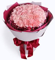 The single flowers of the carnations species, dianthus caryophyllus have 5 petals and vary from white to pink to purple in color. 33 Stems Pink Carnation With Dark Pink Dianthus Angelic Flower