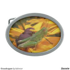 Grasshopper Oval Belt Buckle Shopping Insect Fashion Belt Buckles Belt Design