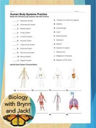 12 Levels Of Biological Organization From Smallest To Largest Human Body Systems Practice By Biology With Brynn And Jack Teachers Pay Teachers Human Body Systems Body Systems Biology Lessons