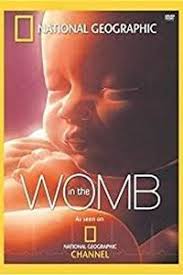 Hindi audio story of wedding night. Movie Titles With The Word Womb