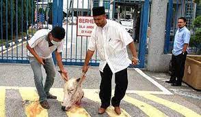 Keadaan menjadi sedikit tegang dan membuatkan individu yang merakam bersama beberapa orang rakan turut ketawa melihat insiden itu. Mengulas Isu Kepala Lembu Di Shah Alam Alahai Malaysia My Interpretation