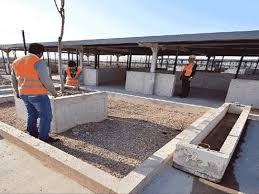 Izmir De 4 Bin Kapasiteli Hayvan Mezarligi Ajanimo