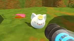 The chickens are absolutely victims in slime rancher, but if the player can laugh their way through. Slime Rancher Lucky Slime Guide Allgamers