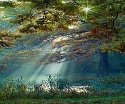 Kevin WHEELOCK Obituary