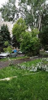 Az ítéletidő a belvárosban és a hajnal utcában jelentős károkat okozott. Tornado Csapott Le Oroshazara 24 Hu