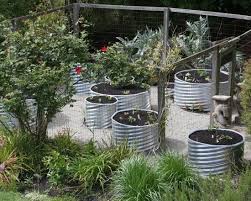 Awesome Galvanized Planters Modern For Garden Design Ideas Upcycle Garden Container Gardening Garden Design