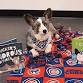 Read to Rover for K - 8: Rakow Branch