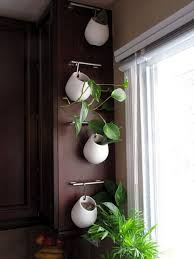 Plant Pots On Side Of Kitchen Cupboard Decor Plant Decor Indoor Gardens