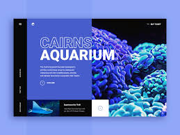 Cairns Aquarium Web Site Concept Design Agency Presentation Design Aquarium