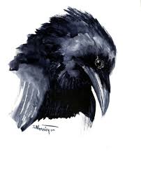 Black And White Raven Drawing Crow Painting Raven Original Watercolor Wall Art Black White Minimalist Art Raven Portrait Raven Head Tri Crow Painting Black Bird Tattoo Watercolor Bird