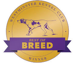 File:wkc dog show logo 2019.png. Newport Dog Owner Savors Win At Westminster Newport This Week