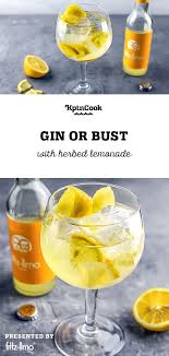 Gin Or Bust Recipe Gin Cocktails Tom Collins Drink Recipes Gin Drinks