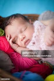 6,333 Anne Head Stock Photos, High-Res Pictures, and Images