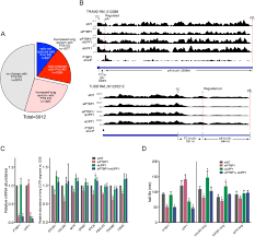 Activation And Inhibition Of Nonsense Mediated Mrna Decay