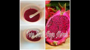 Buah naga ini bisa un. Resep Mpasi Menu Tunggal 6 Bulan Keatas Pure Buah Naga Merah Youtube