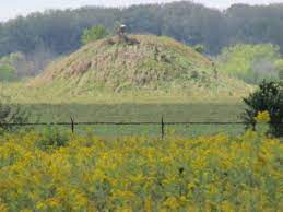 The midewin national tallgrass prairie is a tallgrass prairie reserve and united states national grassland operated by the united states for. The Mound Picture Of Midewin National Tallgrass Prairie Wilmington Tripadvisor