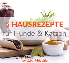 5 Ganz Einfache Effektive Hausrezepte In Der Futterung Die Jeder Hunde Und Katzenhalter Kennen Sollte Zur Immunstarkung Wurmpr Hund Und Katze Katzen Hunde