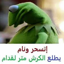 يطلع الكرش مترين قدام هههههههههه Funny Comments Mystic Messenger Characters Funny Pictures