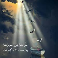 Pin On Ayman