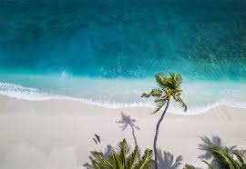 Check spelling or type a new query. Beautiful Free Summer Wallpaper Desktop Backgrounds Vandelay Design