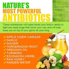 Nature S Most Powerful Antibiotics Learn About Alkaline Rich Kangen Water It S Antioxidant Loaded Healthy Ingredient Nutrition Recipes Health And Nutrition