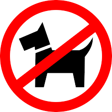 Download transparent prohibited sign png for free on pngkey.com. Dog Walking Is Prohibited Icons Png Free Png And Icons Downloads