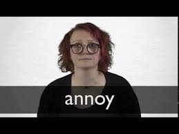 The wasps were beginning to annoy me. French Translation Of Annoy Collins English French Dictionary