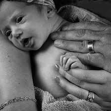 David Billen (@redplainsphotography) • Instagram photos and videos