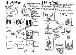 Add these free printable science worksheets and coloring pages to your homeschool day to reinforce science knowledge and to add variety and fun. Menu Home Dmca Copyright Privacy Policy Contact Sitemap Saturday August 31 2013 Food Chain Drawing With Color Food Chain Worksheet Biology Intrepidpath Food Chain Free Food Web Coloring Pages Download Free Clip Art Free