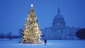 Grace your desktops with christmas charisma. Xmas Tree Wallpapers Wallpaper Cave