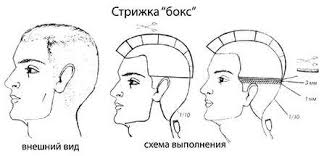 Как раз к таким и относится причёска бокс. Strizhki I Pricheski Home Facebook