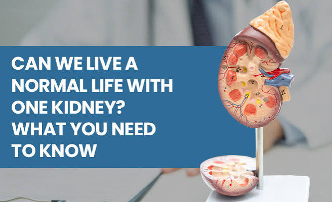 Can we live a normal life with one kidney? What you need to know