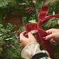 Adult & Child Christmas Wreath Making event image