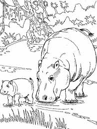 Free, printable mandala coloring pages for adults in every design you can imagine. Hippo Eating With Her Baby Coloring Page Baby Coloring Pages Coloring Pages Coloring Pages For Kids